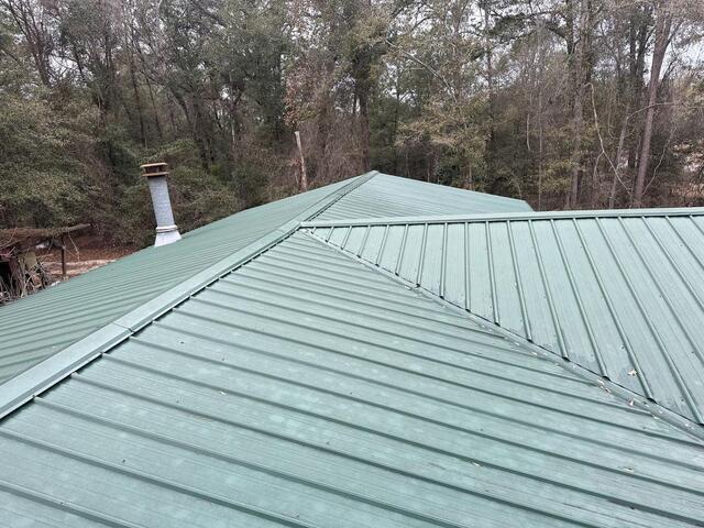 Green metal roof with chimney surrounded by bare winter trees