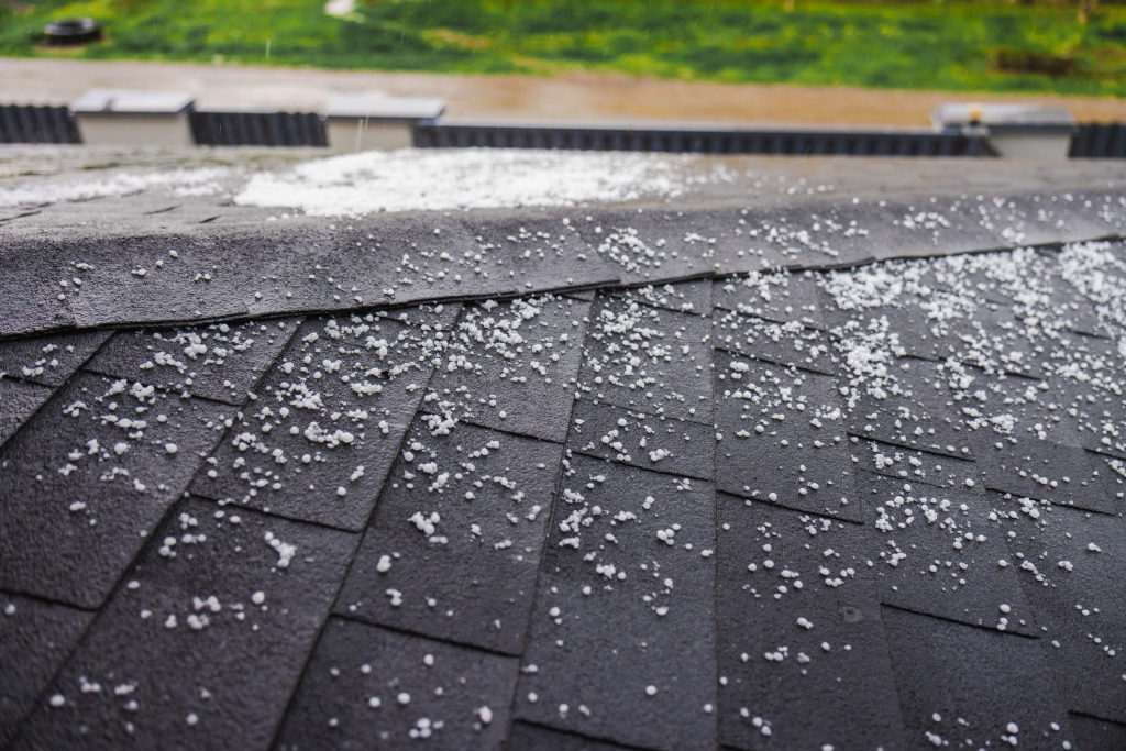 Hail damage on dark asphalt roof shingles with white hailstones scattered across surface